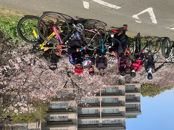 多摩川サイクリングロードお花見