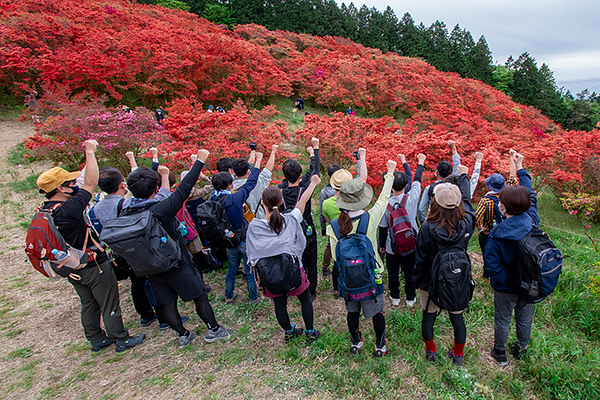 葛城山満開のツツジで(^^)/