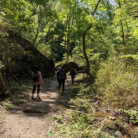 春の登山も🏞️