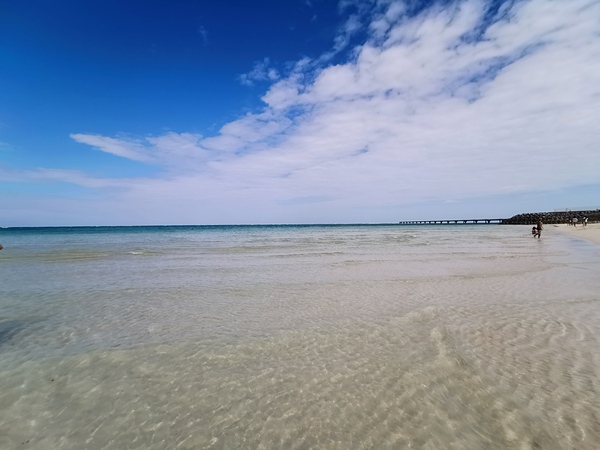 新規メンバー募集中 京都のサーフィンチーム 初心者 上級者まで楽しくサーフィン スポーツやろうよ