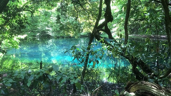 山形県でアウトドア！