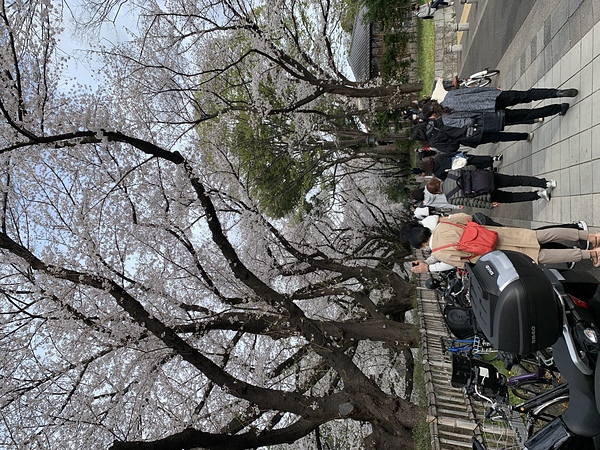 名城公園の周りを走ります