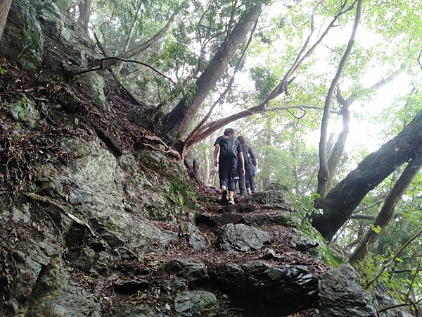 2021年 高水三山