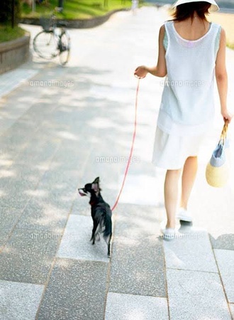 散歩しよう☆