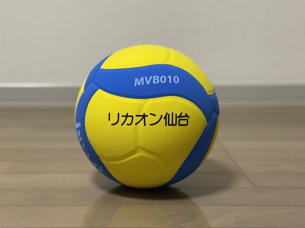 混合バレー公式球