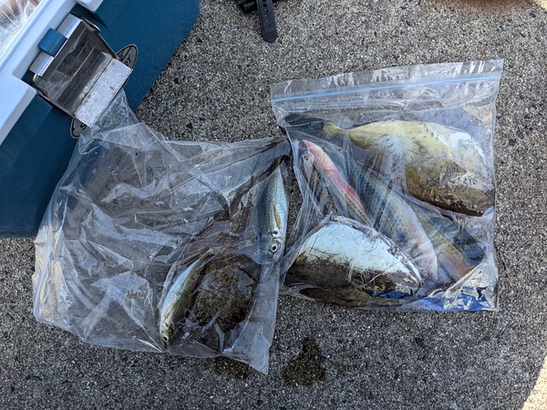 そろそろフカセの季節