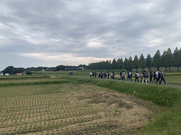 並木と田園風景(^^)