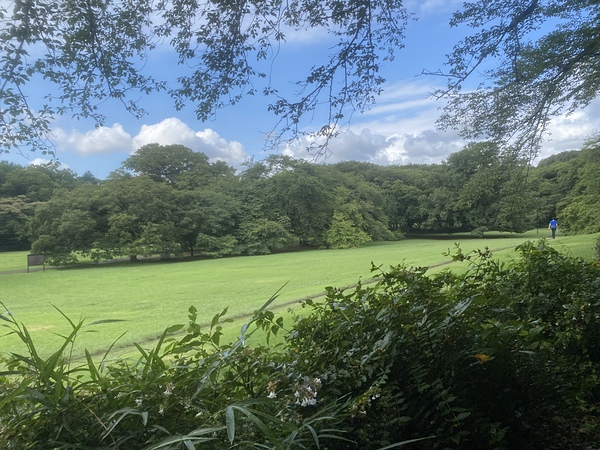 砧公園めっちゃ気持ちいです！