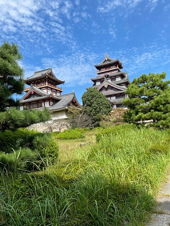 伏見桃山城、近くで見る初めて