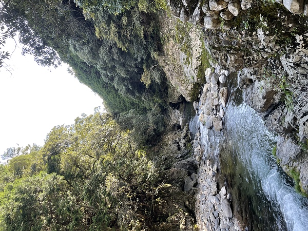 このトレイルは歩きやすいです