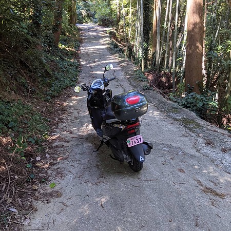 糸島の林道です(ﾉ´o`)ﾉ