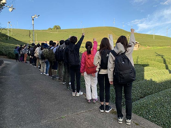 和束町 茶畑で(^^)/