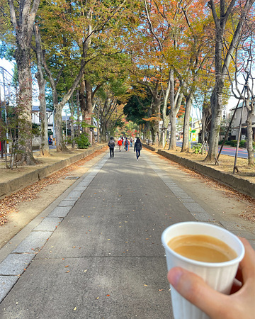 氷川参道を一緒に走りませんか？