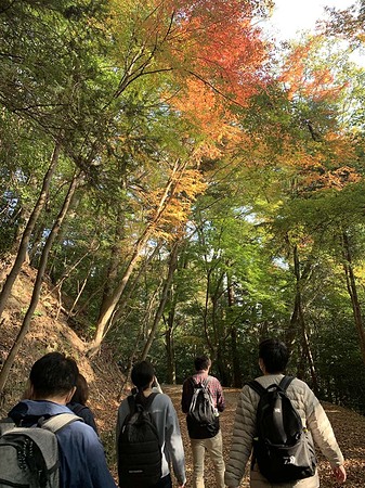 春日山原始林