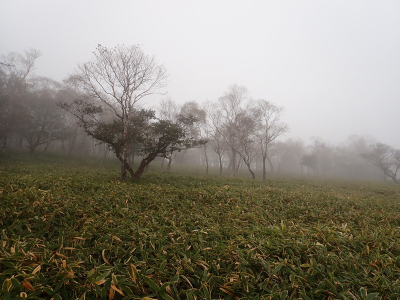 霧降高原(栃木県)