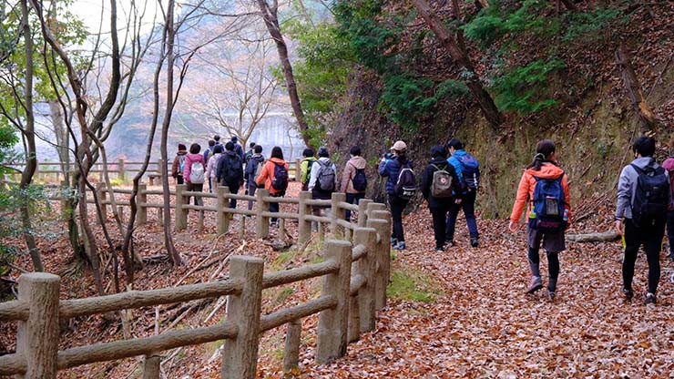 箕面川ダム落ち葉のじゅうたん♪