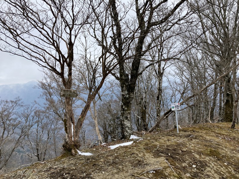 4月序盤の池木屋山