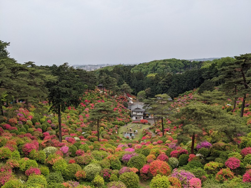 塩船観音寺