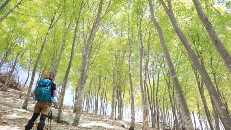 下権現堂山897m220504