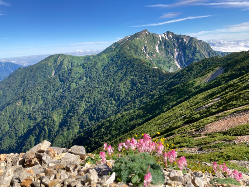 のんびり登山の会　