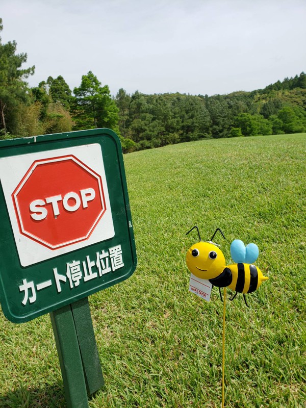 ちょっとstop!ご覧ください