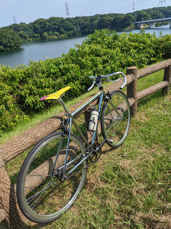 夏の佐布里池