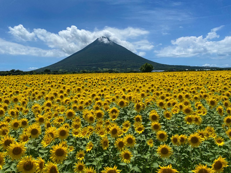 開聞岳登山