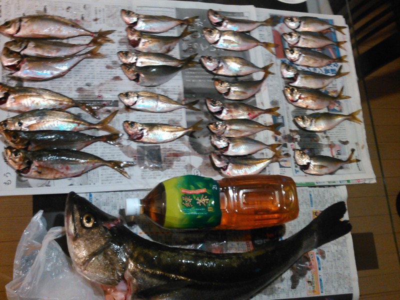 基本を学べば陸でも釣れる♪