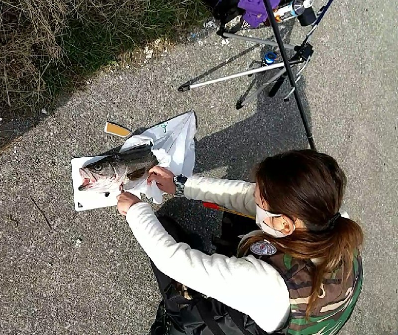 思わず大物も釣れるので要注意♪