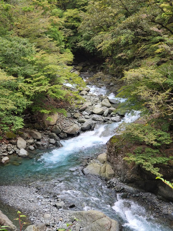 秘密の川