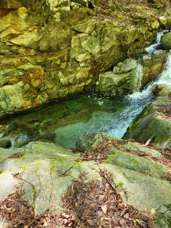 秘密の川