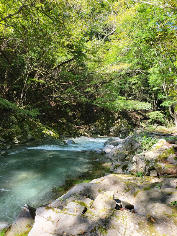 秘密の川