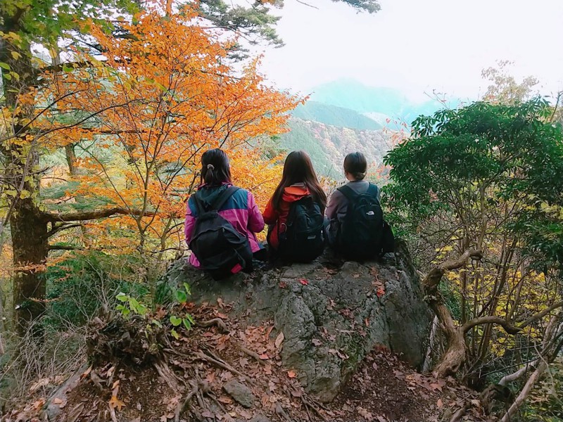 御岳山ハイキング