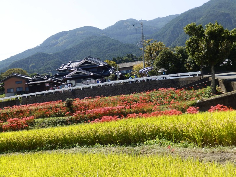 奈良県御所市