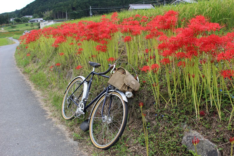 奈良県御所市