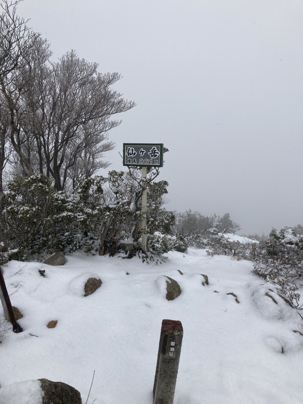 2月の仙ヶ岳