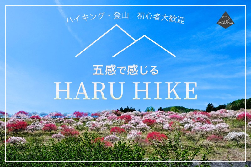 参加者募集中ー♫