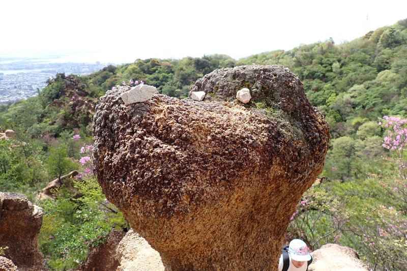 六甲山ハイキング※中級者向け