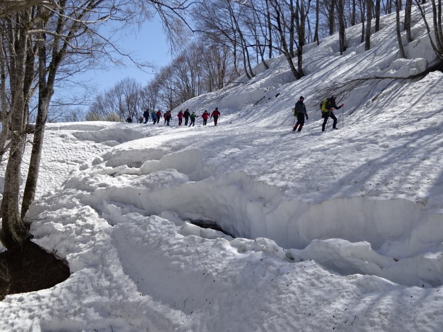 大頭森山　2022