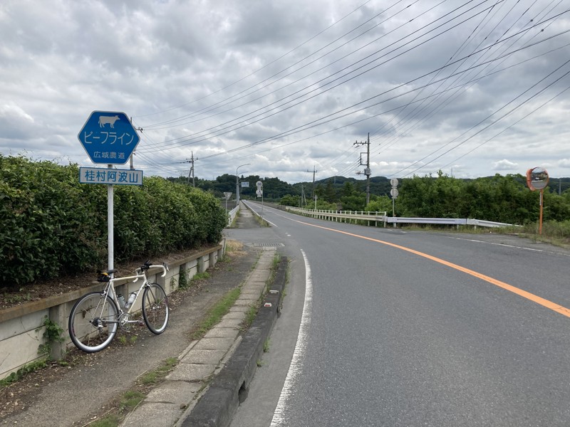 ビーフライン