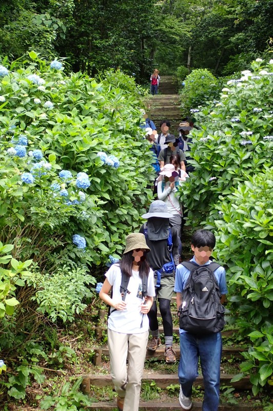 生駒山麓ハイキング※初心者向け