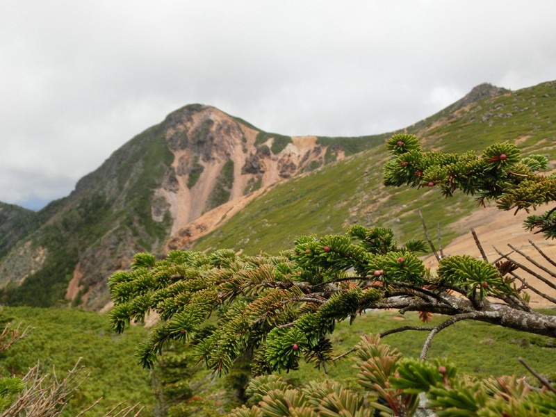 西、東天狗岳