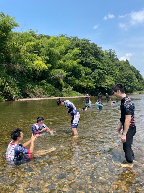 流行りのドボン