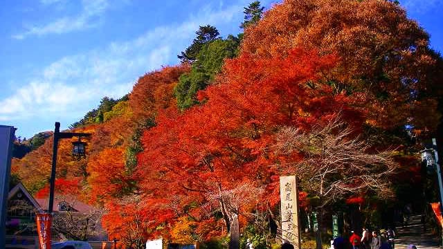 高尾山の秋