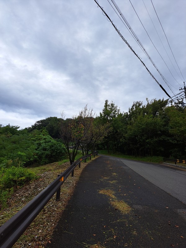 赤坂山は舗装された登山道