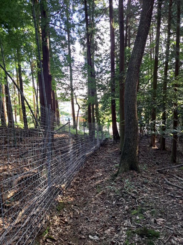 朝倉山はかなりの山道