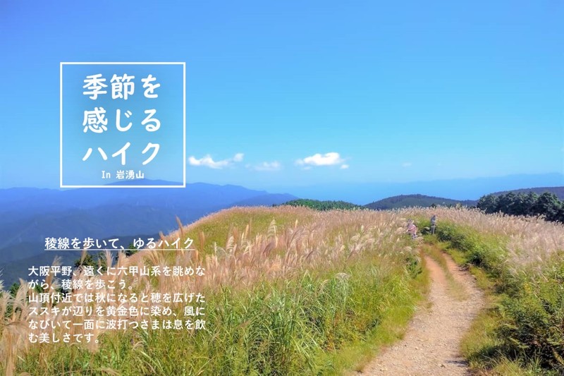 参加者募集中ー♫