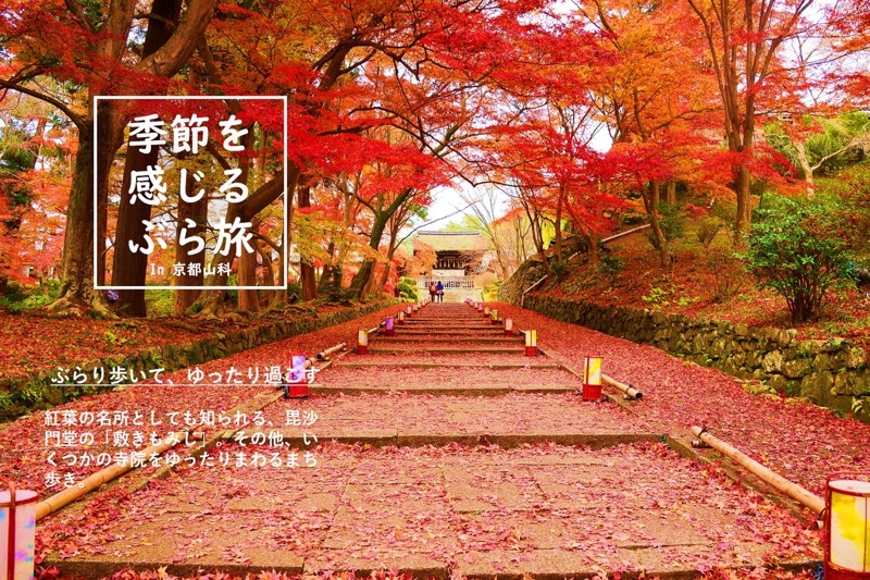 参加者募集中ー