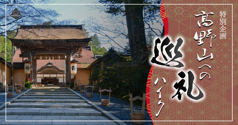 参加者募集中ー♫
