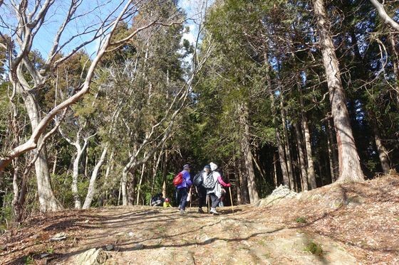 春のアウトドア体験